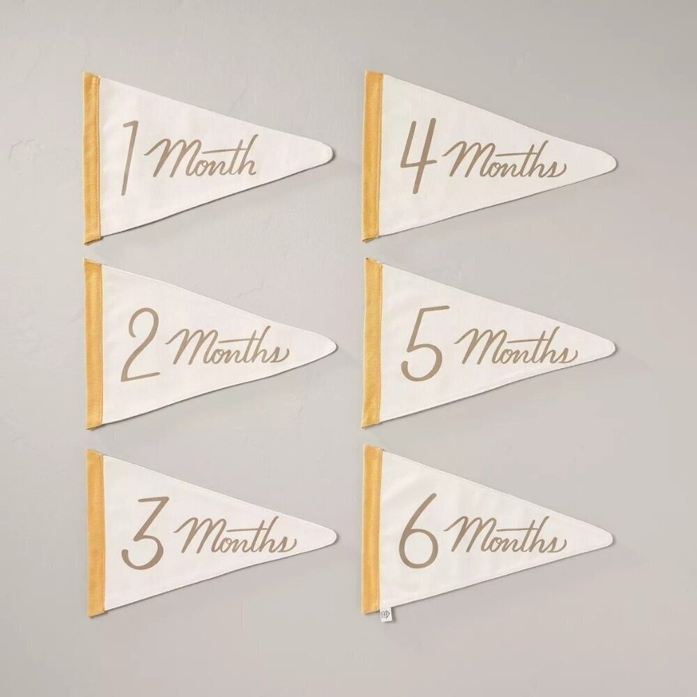 Newborn Milestone Pennants 6pc - Hearth & Hand Magnolia, Target‎